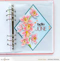 Build-A-Garden: Alluring Orchids & Add-on Die Bundle