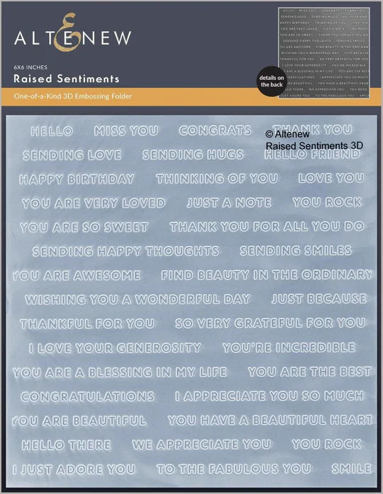 Raised Sentiments 3D Embossing Folder